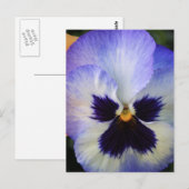 Pansy Postkarte (Vorne/Hinten)