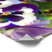 Pansy Print Poster (Ecke)