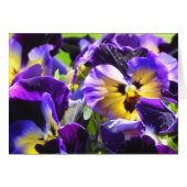 Pansy Small Dankeschön Karten, klein (4" x 5,6") (Vorderseite (Horizontal))