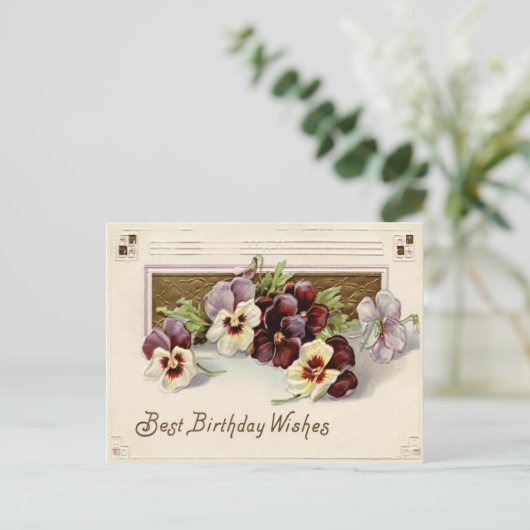 Pansy Stiefmütterchen Lila White Postkarte (Stehend Vorderseite)