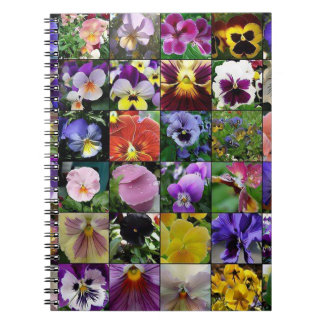 Pansy Stiefmütterchen Notizblock