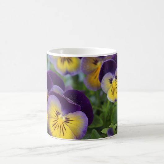 Pansy Tasse (Mittel)