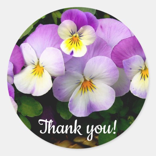 Pansy Thand You Runder Aufkleber (Vorderseite)