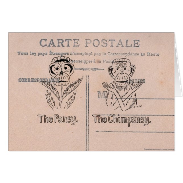 Pansy und Chimp Spaß (Vorderseite (Horizontal))