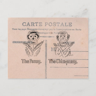 Pansy und Chimp Spaß Postkarte