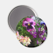 Pansy und Freunde Magnet (Vorderseite/Rückseite)