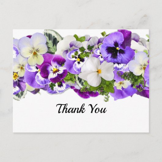 Pansy Vielen Dank Postcard Postkarte (Vorderseite)