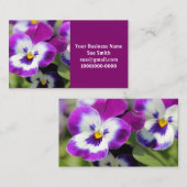 Pansy Visitenkarte (Vorne/Hinten)