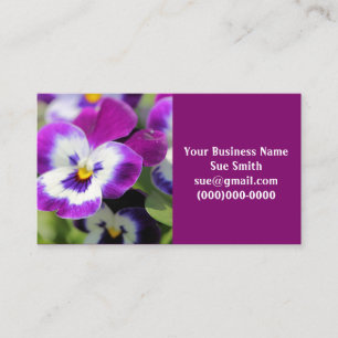 Pansy Visitenkarte