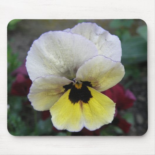 Pansy White and Yellow Mousepad (Vorne)