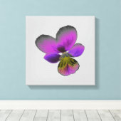 Pansy Wild Dark Lila Canvas Print Leinwanddruck (Insitu (Holzboden))