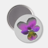 Pansy Wild Dark Lila Magnet (Vorderseite/Rückseite)
