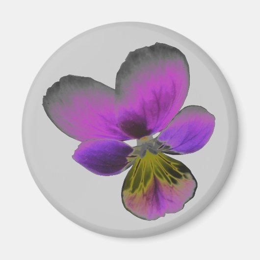 Pansy Wild Dark Lila Magnet (Vorne)