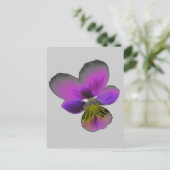 Pansy Wild Dark Lila Postcard Postkarte (Stehend Vorderseite)