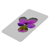 Pansy Wild Dark Lila Premium Magnet (Linke Seite)