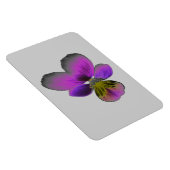 Pansy Wild Dark Lila Premium Magnet (Rechte Seite)