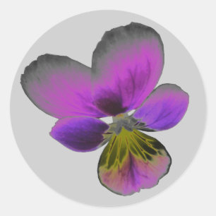 Pansy Wild Dark Lila Sticker