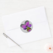 Pansy Wild Dark Lila Sticker (Umschlag)