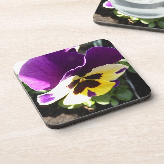 Pansykorken-Untersetzer Getränkeuntersetzer (Linke Seite)