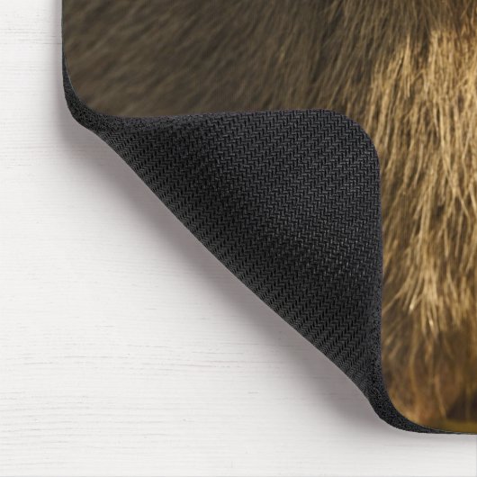 Pantanal, Brasilien, Capybara, Hydrochoerus Mousepad (Ecke)