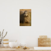 Pantanal, Brasilien, Capybara, Hydrochoerus Poster (Küche)