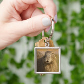 Pantanal, Brasilien, Capybara, Hydrochoerus Schlüsselanhänger (Hand)