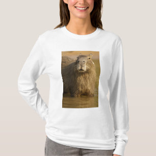 Pantanal, Brasilien, Capybara, Hydrochoerus T-Shirt