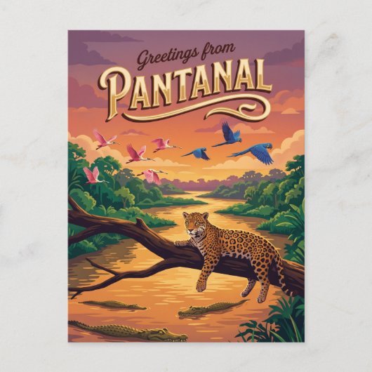Pantanal Brasilien Postkarte (Vorderseite)