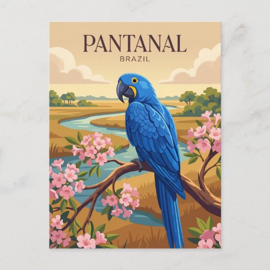Pantanal Brasilien Postkarte (Vorderseite)
