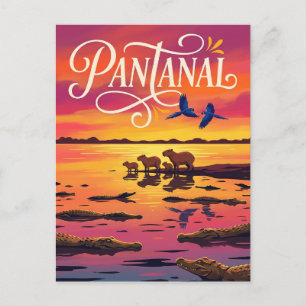 Pantanal Brasilien Postkarte