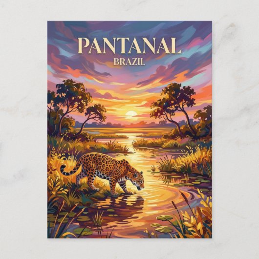 Pantanal Brazil Postkarte (Vorderseite)