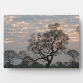 Pantanal Feuchtgebiete | Südamerika, Brasilien Fotoplatte (Vorderseite)