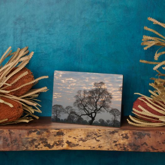 Pantanal Feuchtgebiete | Südamerika, Brasilien Fotoplatte (Seite)