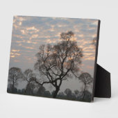 Pantanal Feuchtgebiete | Südamerika, Brasilien Fotoplatte (Seite)