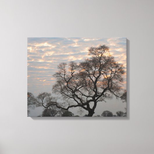 Pantanal Feuchtgebiete | Südamerika, Brasilien Leinwanddruck (Vorderseite)