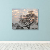 Pantanal Feuchtgebiete | Südamerika, Brasilien Leinwanddruck (Insitu (Holzboden))