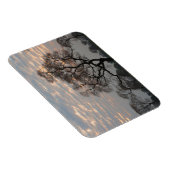 Pantanal Feuchtgebiete | Südamerika, Brasilien Magnet (Rechte Seite)