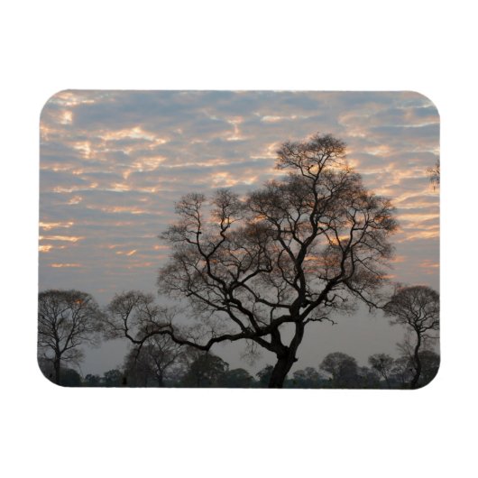 Pantanal Feuchtgebiete | Südamerika, Brasilien Magnet (Horizontal)