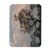 Pantanal Feuchtgebiete | Südamerika, Brasilien Magnet (Vertikal)