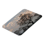 Pantanal Feuchtgebiete | Südamerika, Brasilien Magnet (Linke Seite)