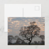 Pantanal Feuchtgebiete | Südamerika, Brasilien Postkarte (Vorne/Hinten)