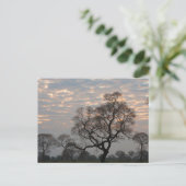 Pantanal Feuchtgebiete | Südamerika, Brasilien Postkarte (Stehend Vorderseite)