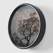 Pantanal Feuchtgebiete | Südamerika, Brasilien Uhr (Winkel)