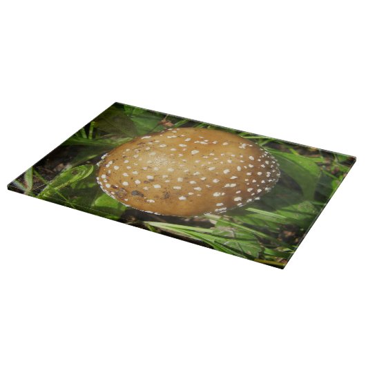 Panther Cap Mushroom Glass Chopping Board Schneidebrett (Ecke)
