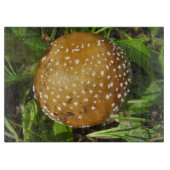 Panther Cap Mushroom Glass Chopping Board Schneidebrett (Vorderseite)