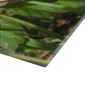 Panther Cap Mushroom Glass Chopping Board Schneidebrett (Ecke)