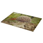 Panther Cap Mushroom Glass Chopping Board Schneidebrett (Ecke)