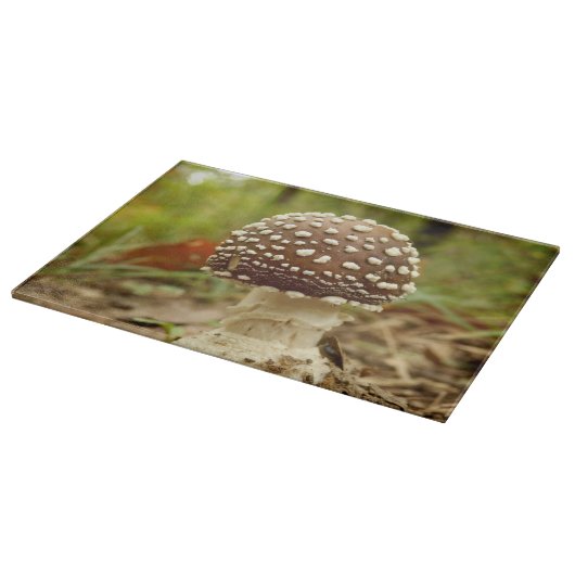 Panther Cap Mushroom Glass Chopping Board Schneidebrett (Ecke)
