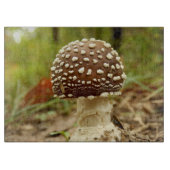 Panther Cap Mushroom Glass Chopping Board Schneidebrett (Vorderseite)