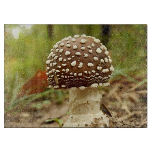Panther Cap Mushroom Glass Chopping Board Schneidebrett (Vorderseite)